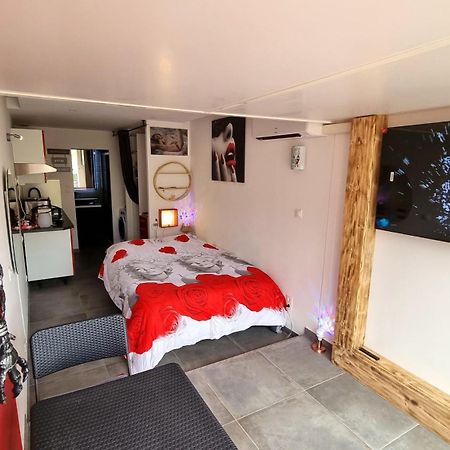 Phantasme Naturiste Studio Terrasse Port Nature 阿格德 外观 照片